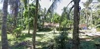 KEDAI TUAK PAK GIRI - Main Image