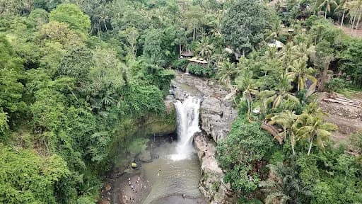 Kemenuh Monkey River - Main Image