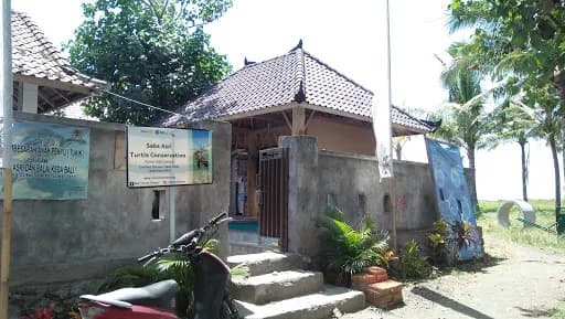 Saba Asri Sea Turtle Ecotourism - Main Image
