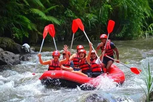 Private Bali Tour - Dedut Bali Tour - Main Image