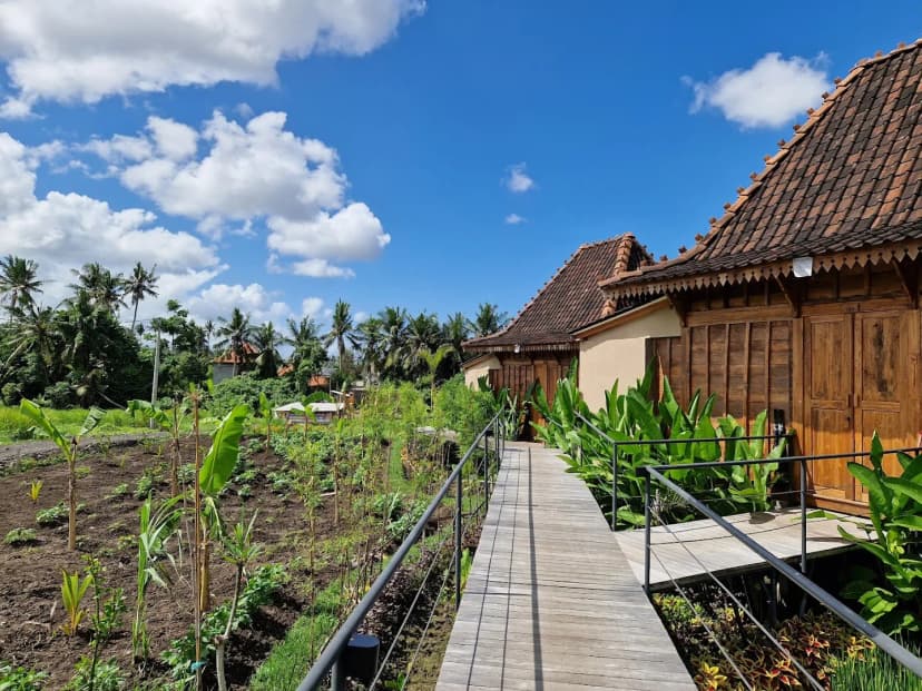 DITUJU Ubud by GenuineHost - Main Image