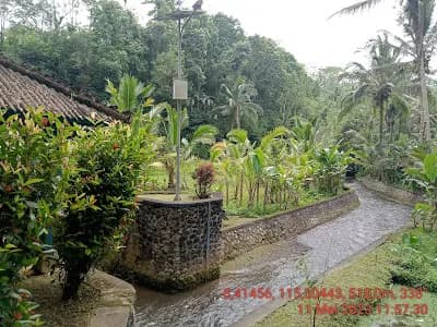 Bali Cat Poo Chino - Main Image