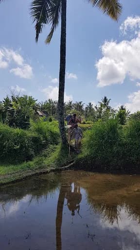 Tebing Hijau - Main Image