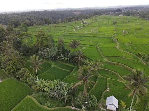 Beji Retreat View - Main Image