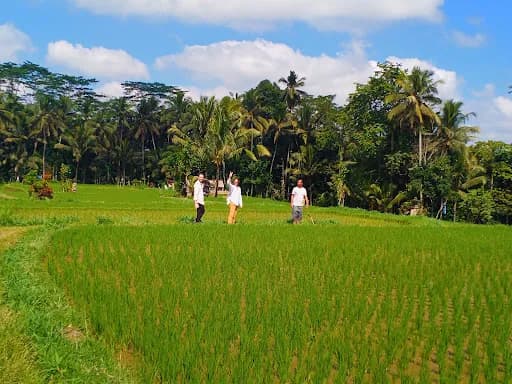 Bali Nature Treks & Art - Main Image