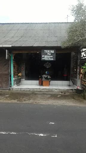 Terina Shop - Main Image