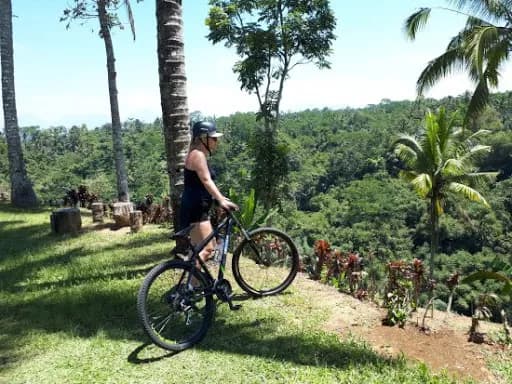 Bailando Tours Bali - Ubud Cycling - Main Image