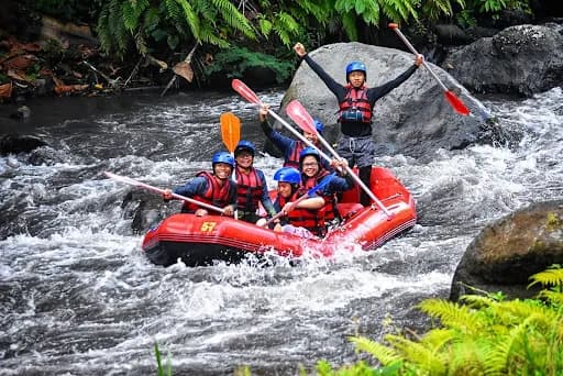 PURNAMA TRIP - Main Image