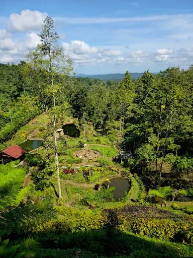 Taman Cinta Hidden Camp - Main Image