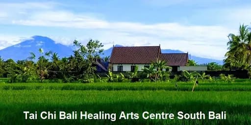 TAI CHI BALI Taichi & Qigong Courses & Retreats - Main Image