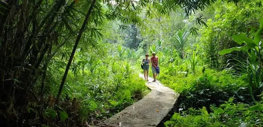 Bali Wild Trek - Main Image