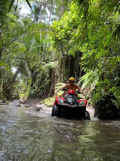 Bali Top ATV - Main Image