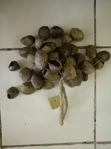 PUSPA MERTA - Main Image
