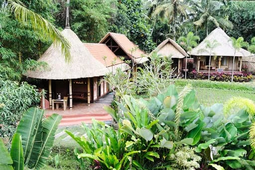 Kush - Main Image