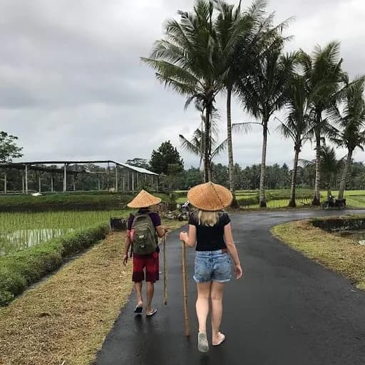 Bali Tours and Adventures - Main Image