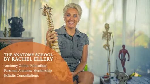 The Anatomy School - Main Image