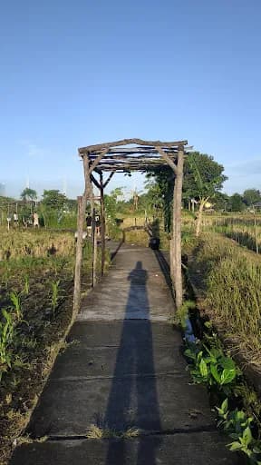 Wisata Edukasi Subak Teba Majalangu - Main Image
