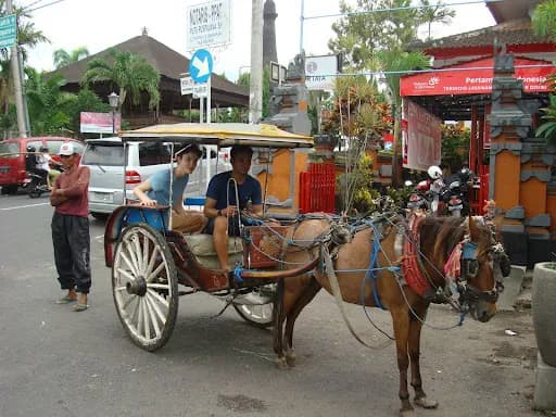 FBali agence de voyage - Main Image