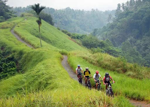 Bali Destination - Main Image