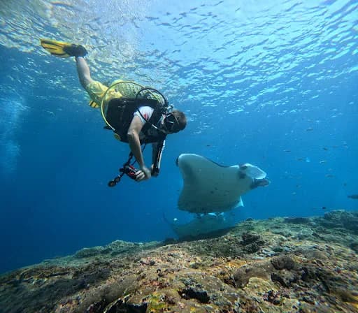 Ena Dive Center & Marine Adventures - Main Image