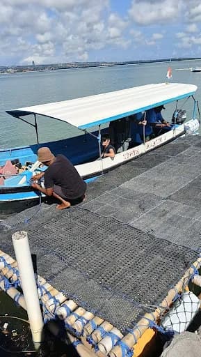 Penangkaran Penyu Bali Fantasi Benoa Bay - Main Image