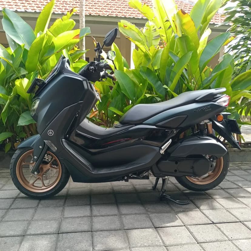 PULUNGAN RENTAL - Main Image