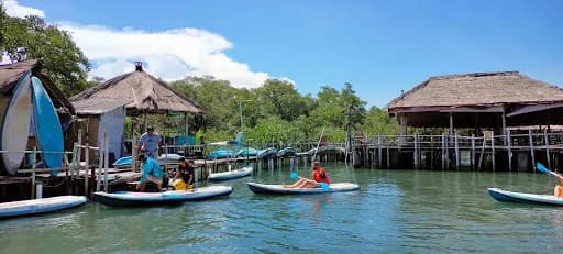 Ekowisata Mangrove - Main Image