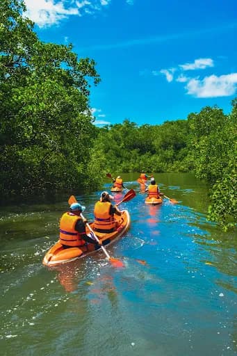 Bali Mangrove Forest Tour - Main Image
