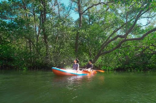 Eco Mangrove Ulam Sari (Mangrove Tour & Education) - Main Image