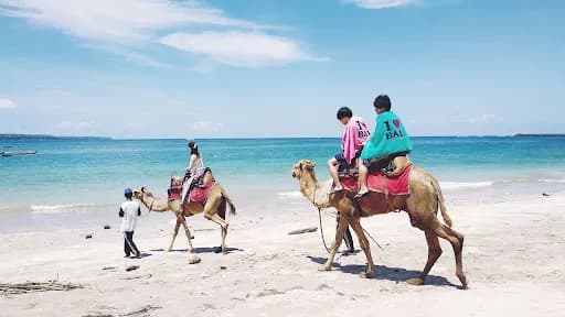 Bali Camel Adventure - Main Image