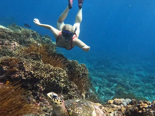 Lembongan Activity - Main Image