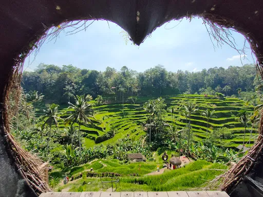 Arta Bali Tour and Activity 1