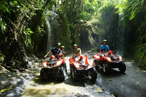 Arta Bali Tour and Activity 3