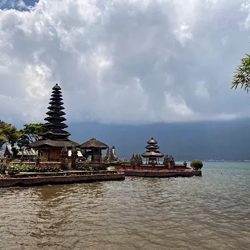 Arta Bali Tour and Activity 4