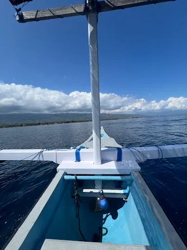 boatingfun77 Dolphin Tours 1