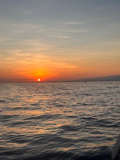 boatingfun77 Dolphin Tours 4