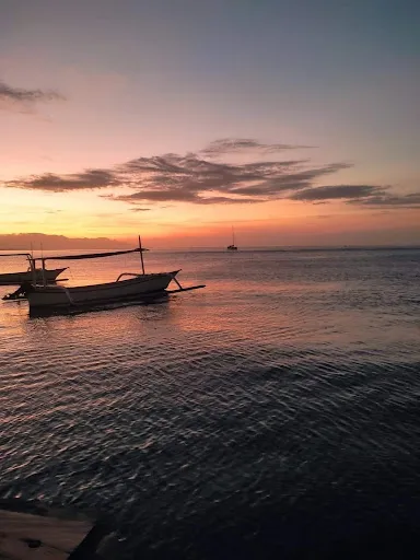 Saka Bali Dolphin Tour and Transport 3