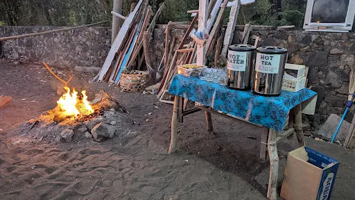 Saka Bali Dolphin Tour and Transport 4