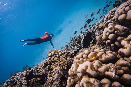 OUSIA Freediving Academy 1