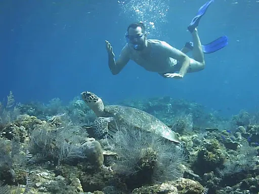 JIL SNORKELING TRIP AND SAILING TOUR~AMED BALI 3