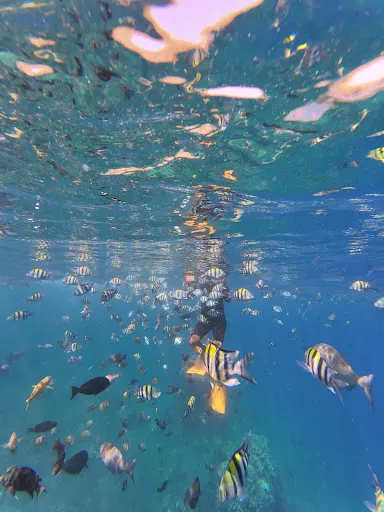 Aquamed Trip Adventures 3