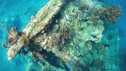 Japanese Ship Wreck Point 4