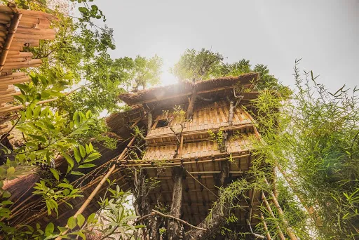 Eco Tree House Amed