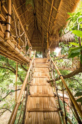 Eco Tree House Amed 1