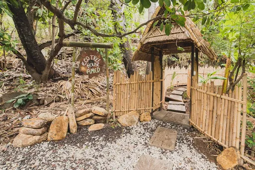 Eco Tree House Amed 3