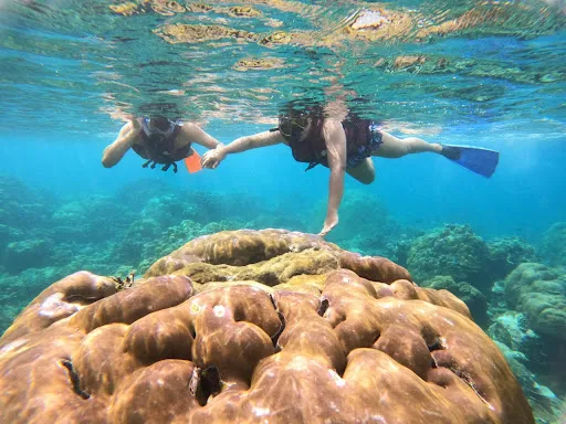 amedian snorkeling tour & scooter rental 1