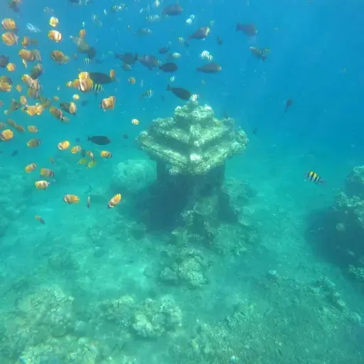 amedian snorkeling tour & scooter rental 3