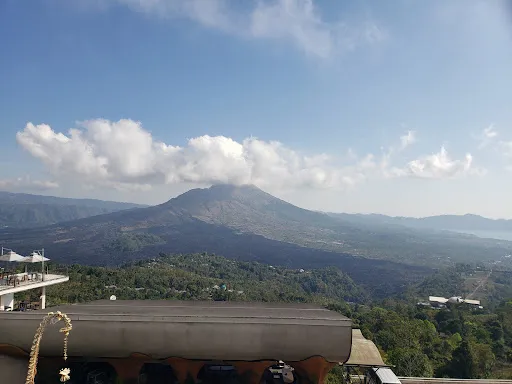 Amed Private Tour Drivers 4