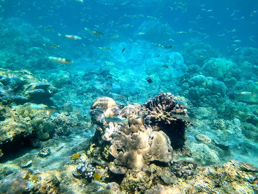 Selang Beach 2