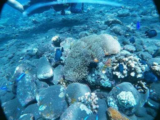 amed Bali dive - Bali Explorers Diver 4